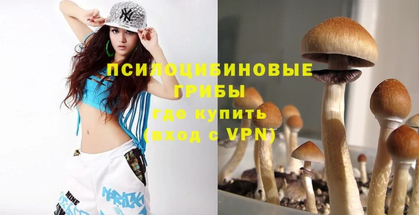сатива Горняк