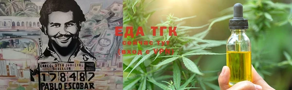 сатива Горняк