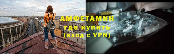 сатива Горняк