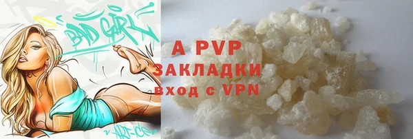 сатива Горняк