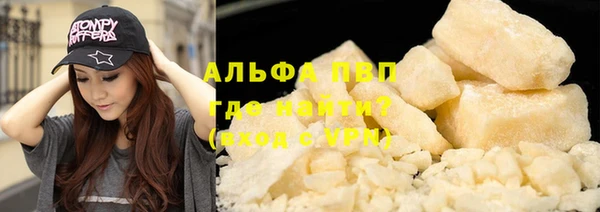 прущие грибы Горнозаводск