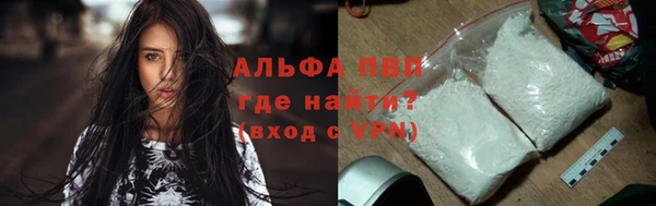 прущие грибы Горнозаводск