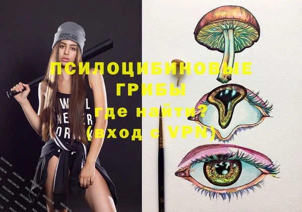прущие грибы Горнозаводск