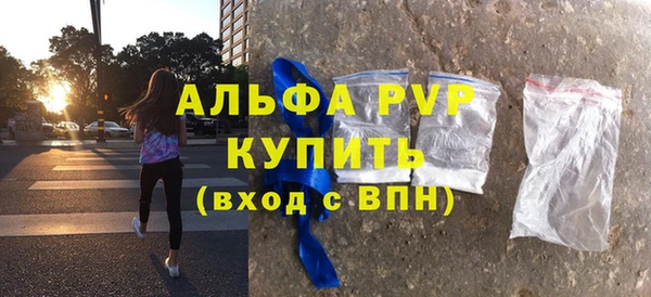 сатива Горняк