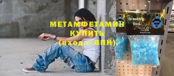 прущие грибы Горнозаводск