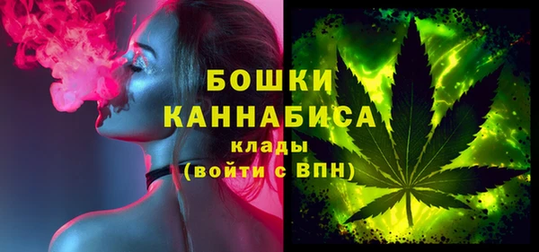 сатива Горняк