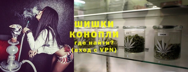 сатива Горняк