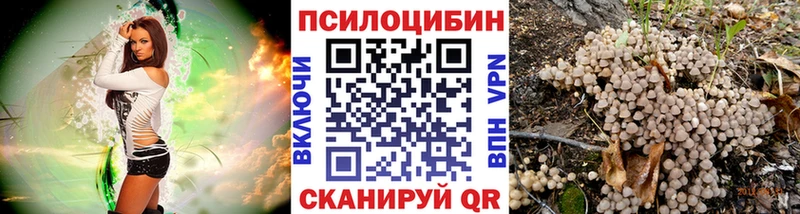 Псилоцибиновые грибы MAGIC MUSHROOMS  закладка  Домодедово 